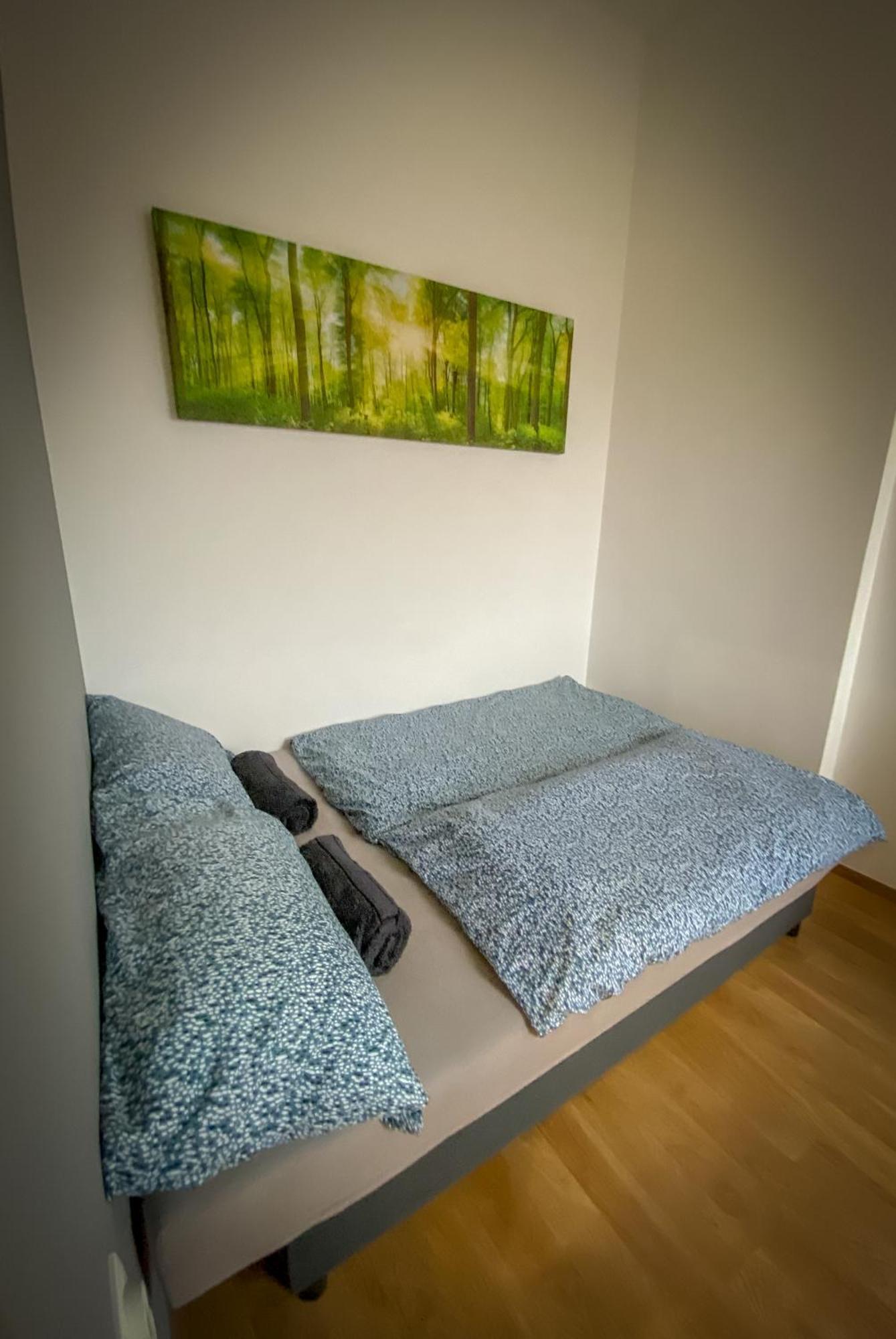 Lovely Central Apartment With Free Parking, Koezponthoz Koezeli 3 Szobas Lakas Gyor Bagian luar foto